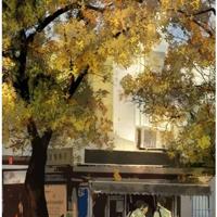 描写亲情奇妙的句子 描写亲情的优美句子大全