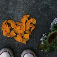 朋友圈说说酷酷的