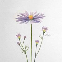 一女五男羊上树玩法是啥 一女被多人玩弄的辣文