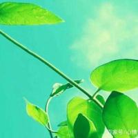 复旦大学陈果的名言名句，陈果句子