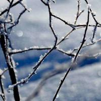 抖音2021最火句子