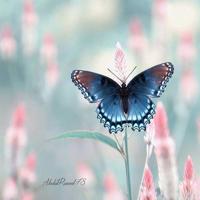 励志留言给女生版