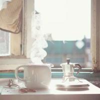 迈开腿让我尝尝你的扇贝漫画,泰安翻译公司