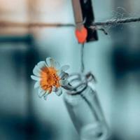 闺蜜和我被黑人一起4p 我被同桌摁在桌子作爱