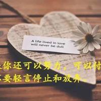 关于女人如花的经典句子25句