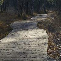 天龙八部个性心情短语