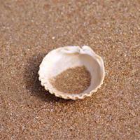 爱她又不得不离开的句子