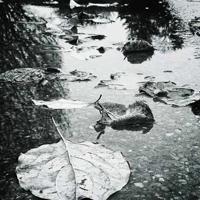 简短情话10个字霸气 最动听的99句情话每句不超过20个字