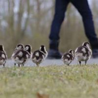三个老汉一起弄得我好爽，一前一后师父会坏掉的