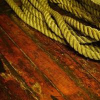 二年级好段摘抄要短的