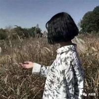 文艺小清新文字短句