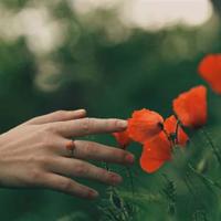 心累了快要崩溃的说说