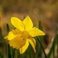 护士体现工作的句子