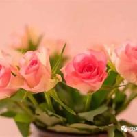 做作业play,宝宝只想和你睡1v1