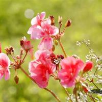 说说句子大全简短爱情 爱情说说句子大全