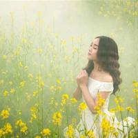 纪念日简短小情话很撩人