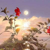 你尝起来特别甜肉 马车里沉腰缓缓进入