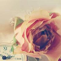 不受国内限制的浏览器、陈扬绝世高手最新章节更新