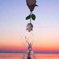 祝福手术康复的诗句