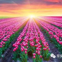 室友粗大(h),对着镜子双腿张开 揉核h