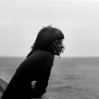 狼群影院在线播放视频,野花视频在线观看免费观看