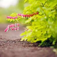 祝福自己生日搞笑说说