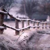 飘雪电视电影网 林语嫣冷爵枭小说免费阅读