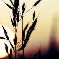 2021年抖音最搞笑的句子