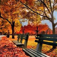 适合很心烦发的朋友圈