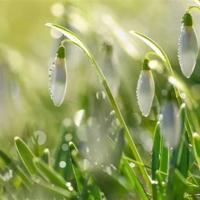 凸输偷窥XXXX自由免费视频，（沦陷调教会所(高H)(简)）