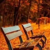 经典唯美古诗词名句 唯美古诗词大全