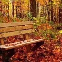 朋友圈简短霸气的一句话，随性洒脱