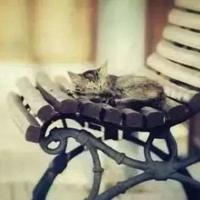 好妈妈电影免费观看完整版|乡村妖孽小村医完整版全文免费阅读