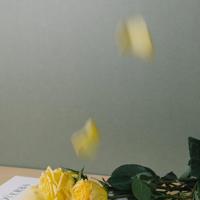 滚烫硬灌满粗大深处 杂烩大乱炖目录