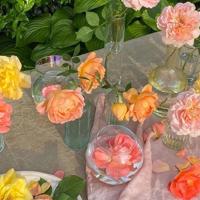 珍惜的精辟句子 珍惜当下的励志句子