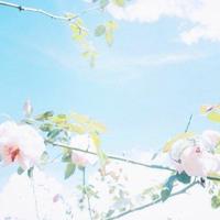 给女朋友的晚安情话