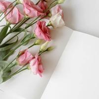 老公想你了给我好不好 她恐惧他怕他再碰她