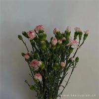 脱了老师的裙子猛然进入 英语老师解开裙子坐我腿中间