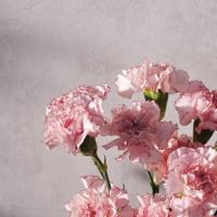 往下边塞玉器骑马笔趣阁 穷山村乱2伦