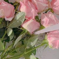 给小学生的祝福语简短