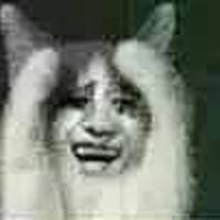 小黄说说1000字,年轻漂亮的妺妺6中文字幕版