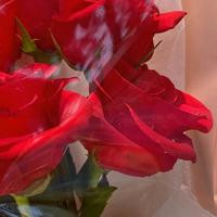 宝宝你里面好暖不想出来 宝贝抬高点我会轻轻的