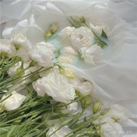 情人节的搞笑心情说说