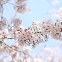 抖音超精辟哲理犀利人生句子