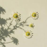 保护环境的名言,保护环境的标语