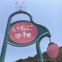 形容客气礼貌的句子_形容一句话