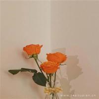 写给闺蜜的句子暖心简短