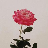 污文看了下面会出水的 掀起裙子从后面进去*