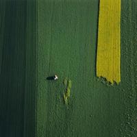 天气变冷朋友圈搞笑说说大全