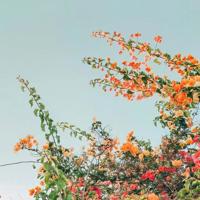 抖音伤感说说：2018形容招聘的酷酷伤感说说